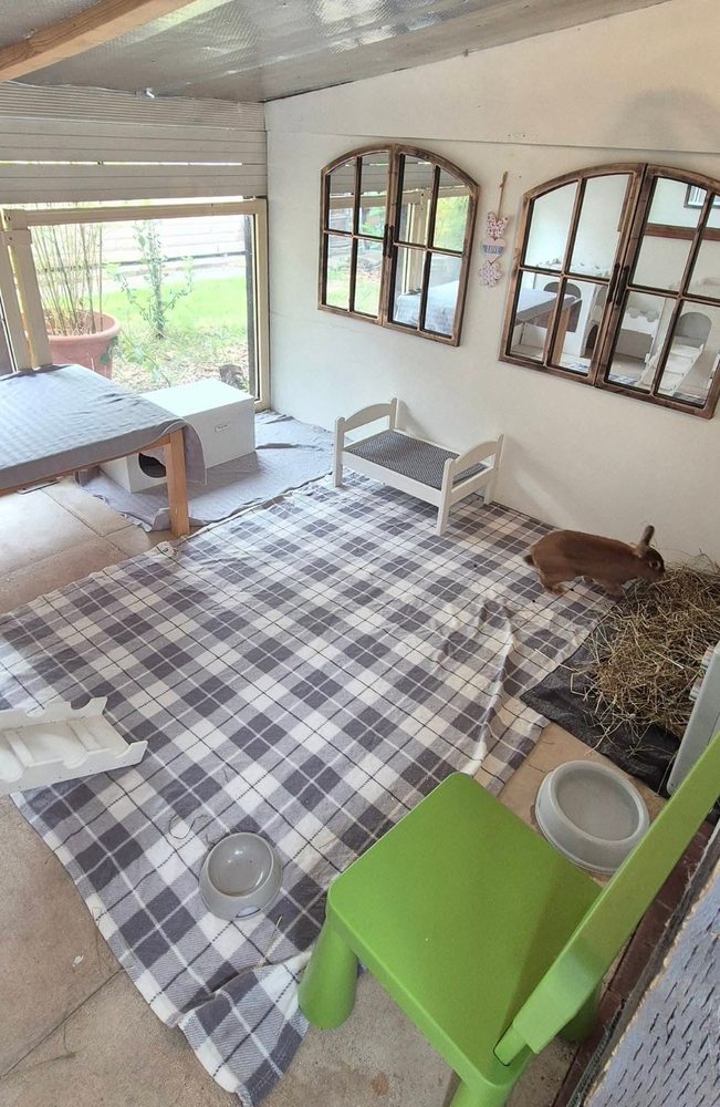 A rabbit at the hay corner of a bright Apartment with arched mirrors and tartan fleece