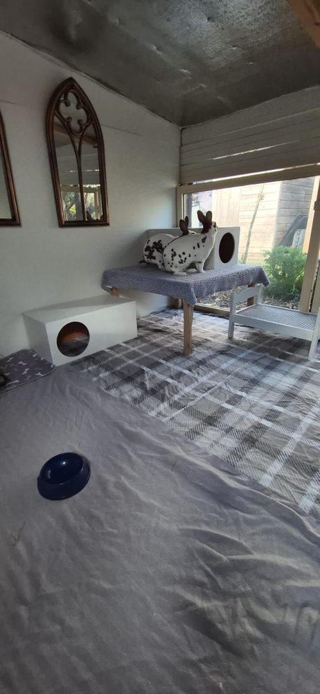 Two spotted rabbits on a fleece topped table looking out to the garden