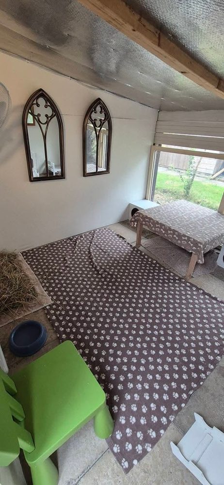 Apartment with gothic mirrors, paw print fleece and a table by the garden window