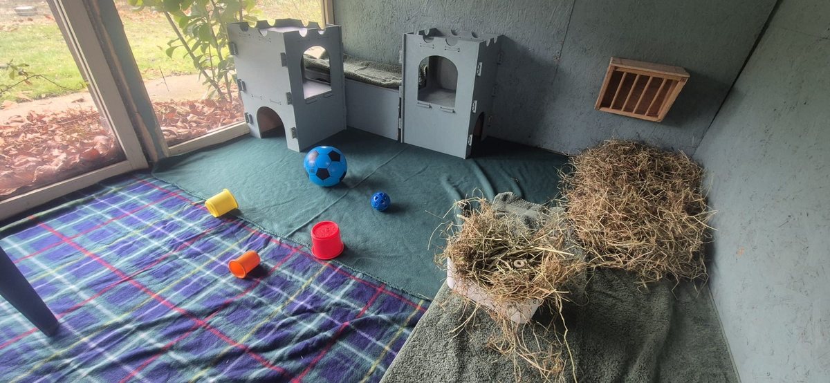 A Cottage interior with castle hideaways, toys, fleece and hay beside a garden window