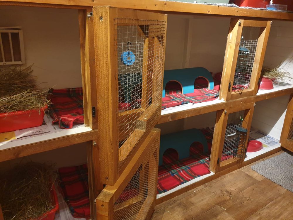 Two rows of timber indoor hutches lined with tartan fleece, hay trays and hideaways