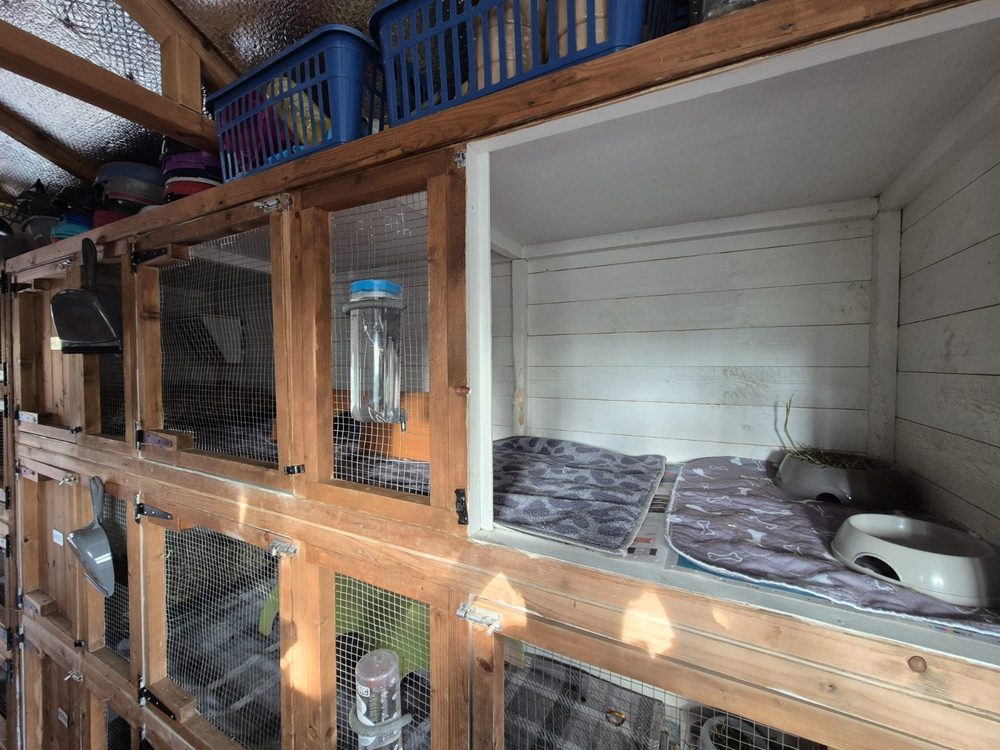 The indoor block, hutches with fleece pads, bowls and water bottles