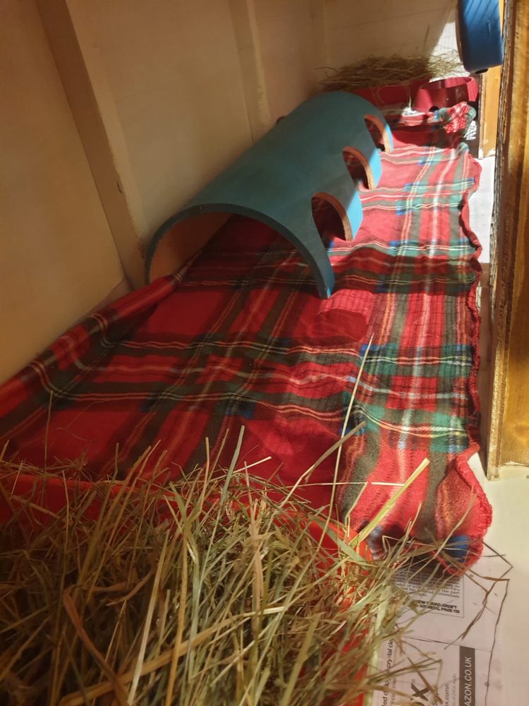 Inside an indoor hutch: tartan fleece, a tunnel hideaway and a deep hay tray