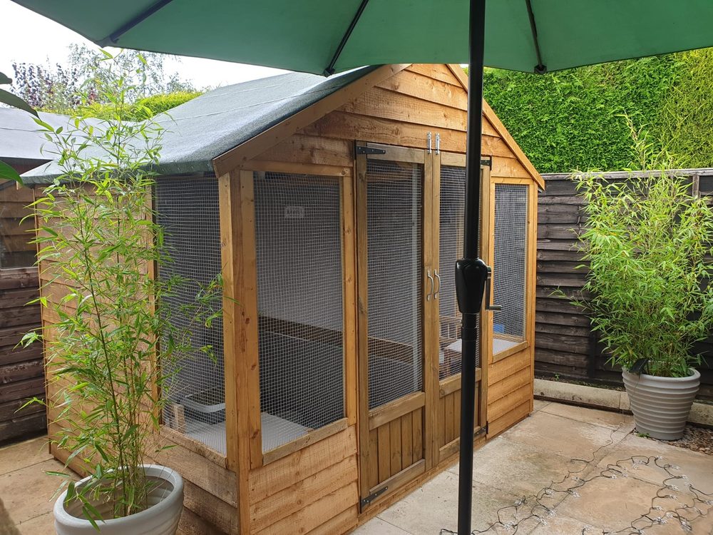 A Kabin, a timber garden room with mesh front and green roof between bamboo pots
