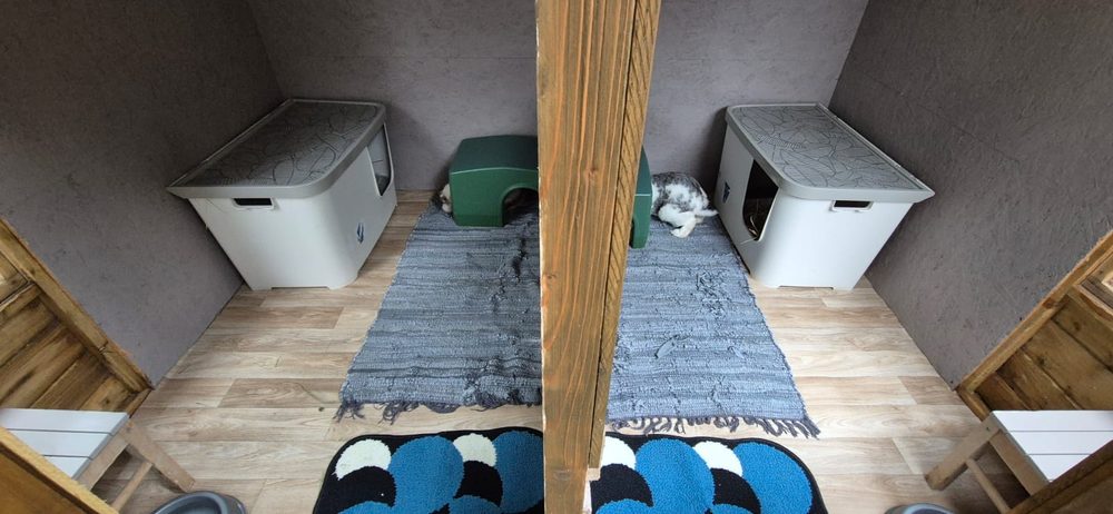 Keswick and Kendal side by side, each with rug, hideaway and litter box