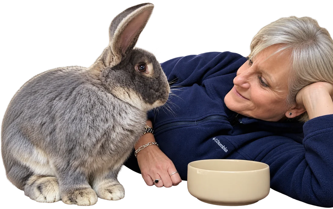 Karen lying beside a large grey rabbit, face to face