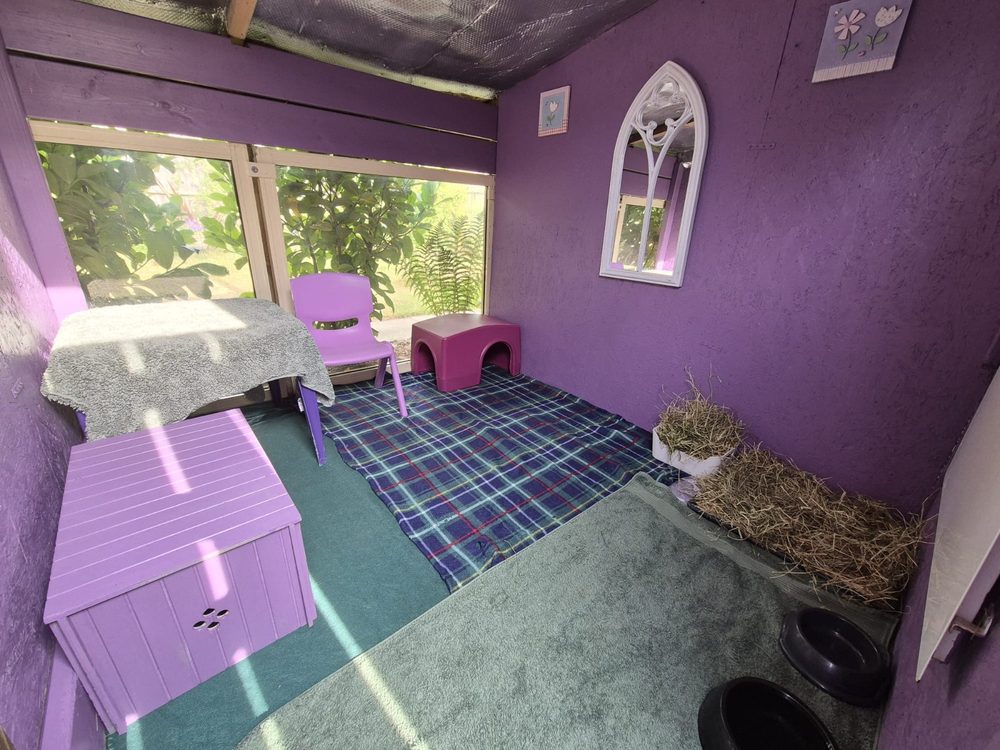 Lilac Lodge, a lilac room with gothic mirror, tartan fleece, hay corner and a garden window