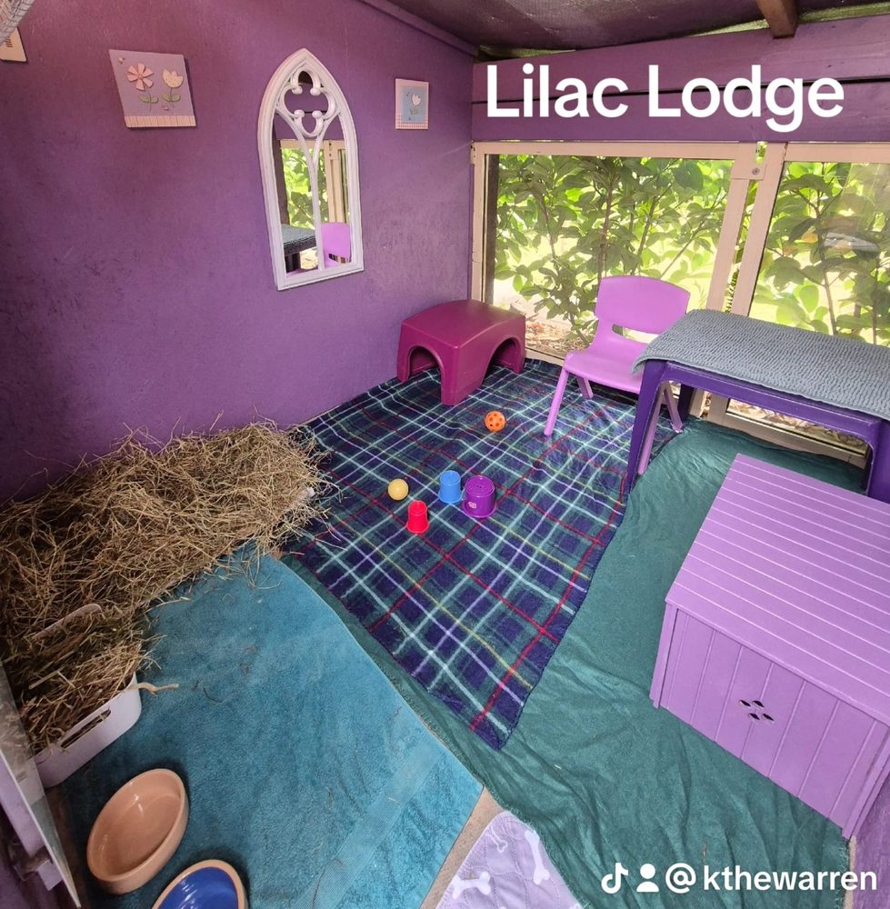 Lilac Lodge from the doorway, with toys on the fleece, hideaways and a table by the window