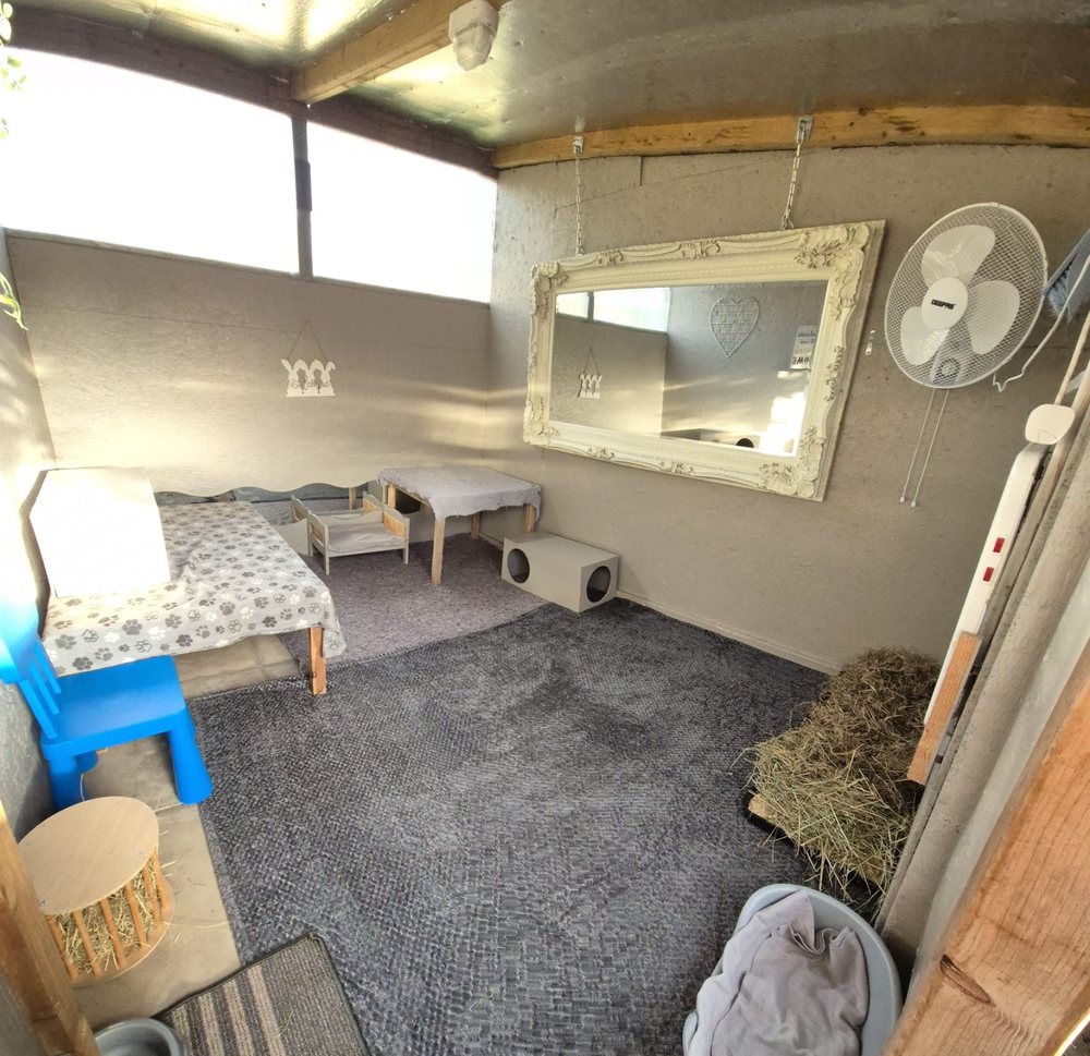 A sunlit Penthouse with deep carpet, beds, tables, hay corner and ornate mirror