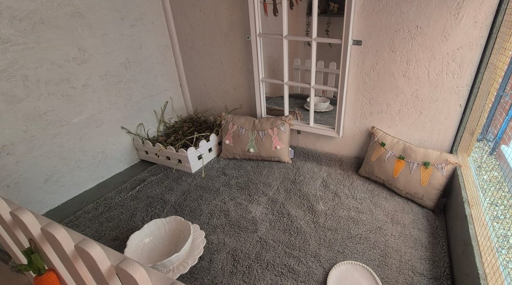 Close view of the Resort upper level with bunny cushions, fleece and hay