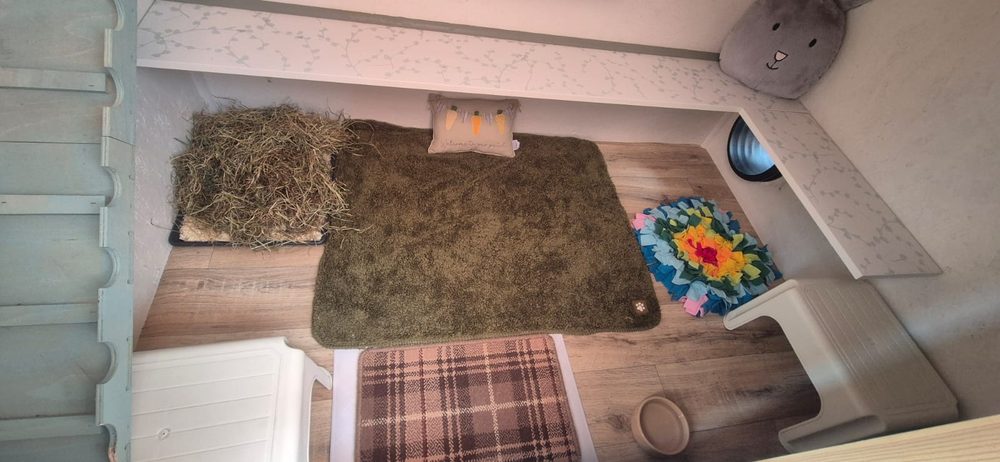 Lower level of a Resort with rugs, hay tray, snuffle mat and a tunnel to the run