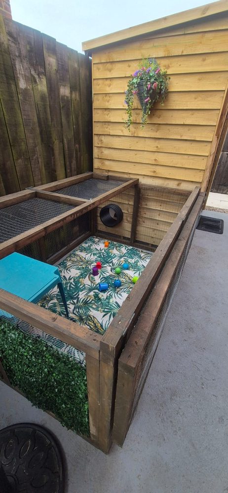 The predator proof run with tropical print floor, toys and a tunnel into the shed