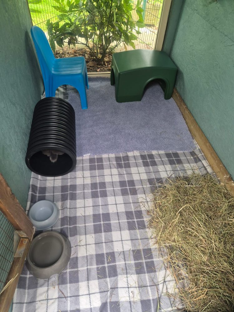 The Studio with fleece flooring, hideaway, tunnel, chair and a deep hay corner by the garden window